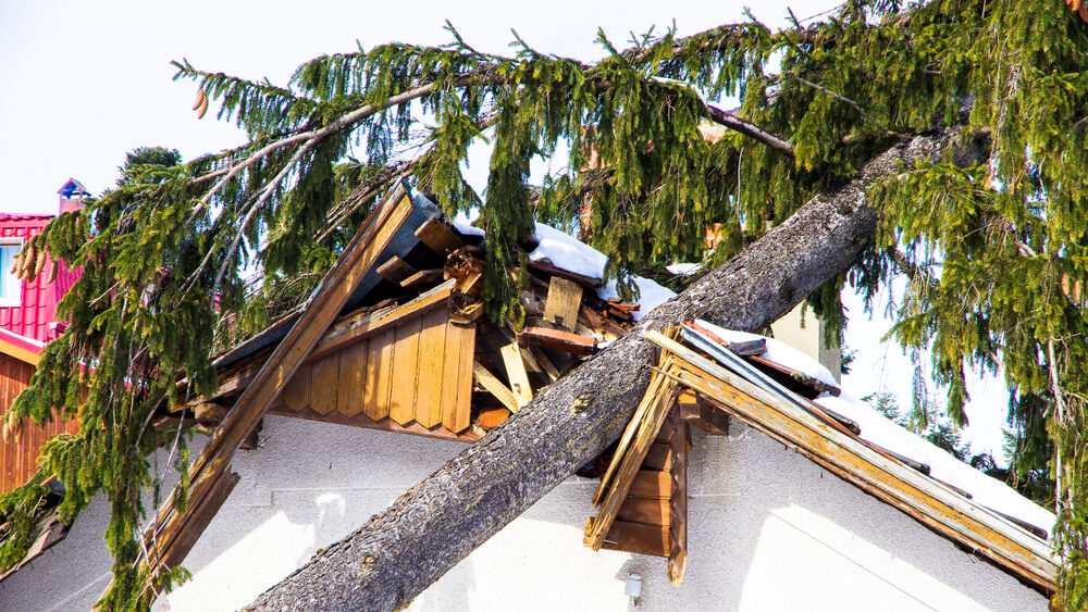 Florida Hurricane Damage Claims Lawyer