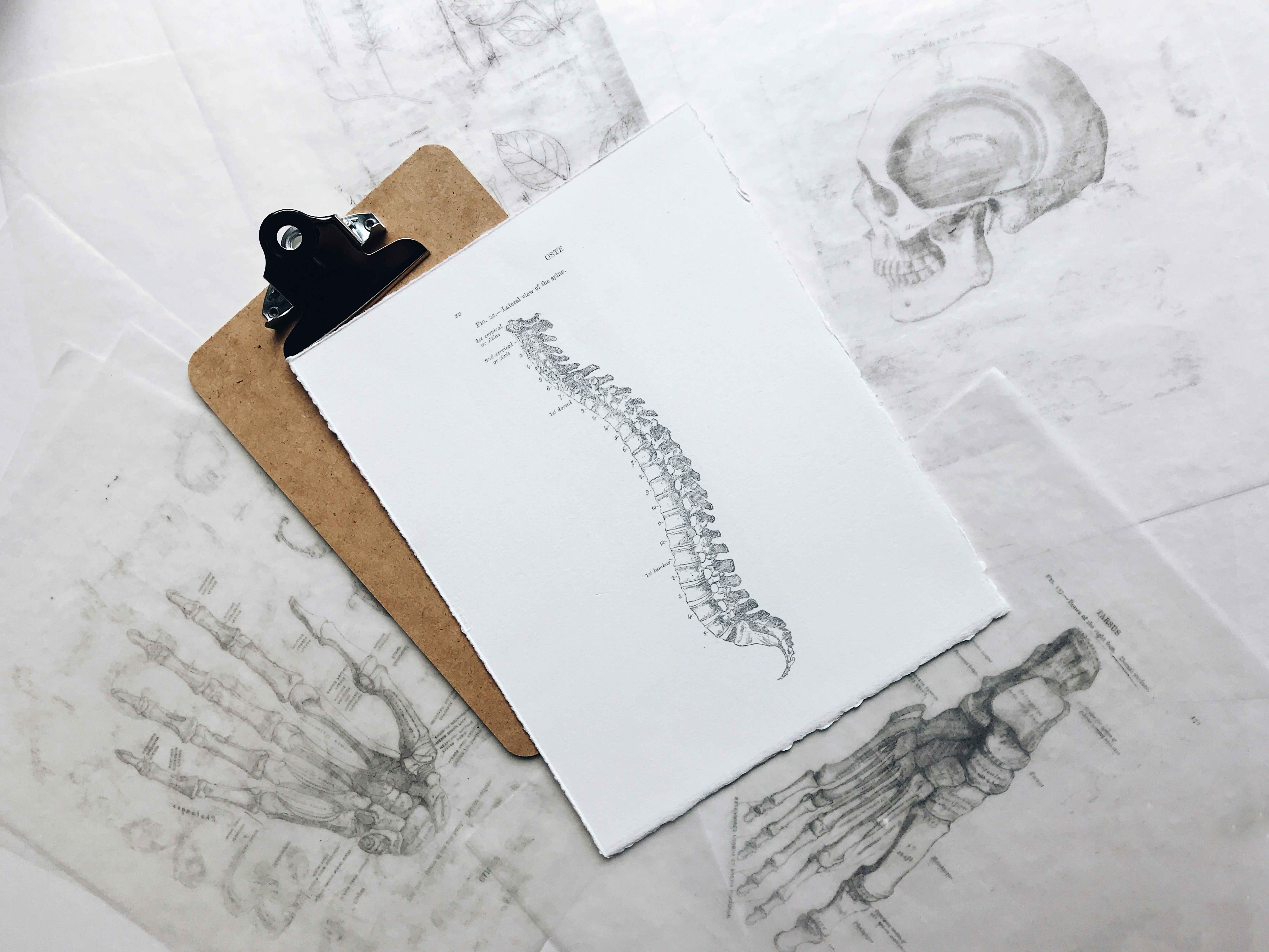How Much is a Herniated Disc Settlement in Florida?