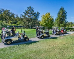 Golf Cart Accident